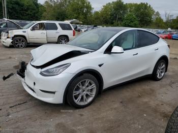  Salvage Tesla Model Y