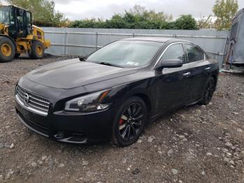  Salvage Nissan Maxima