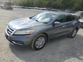  Salvage Honda Crosstour