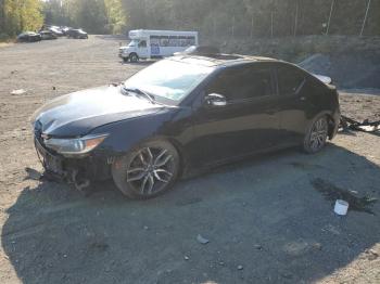  Salvage Toyota Scion