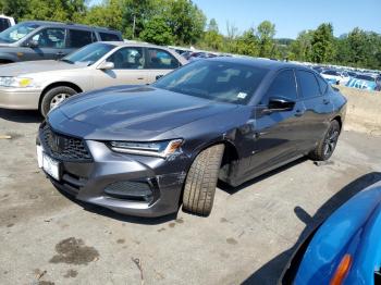  Salvage Acura TLX