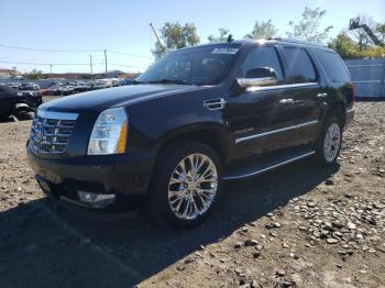  Salvage Cadillac Escalade