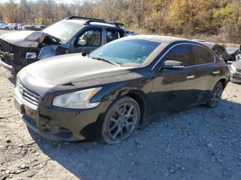  Salvage Nissan Maxima