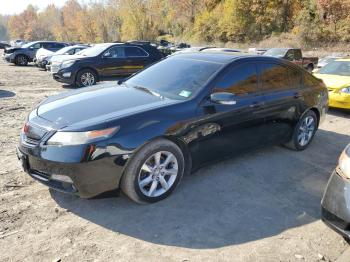  Salvage Acura TL