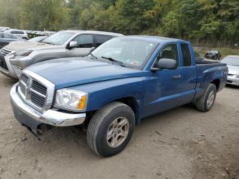  Salvage Dodge Dakota