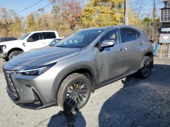  Salvage Lexus NX