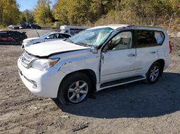  Salvage Lexus Gx