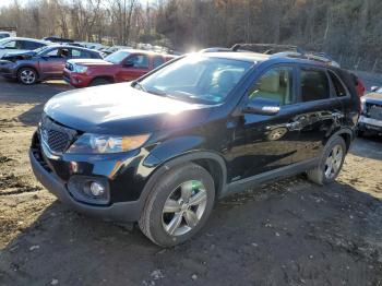  Salvage Kia Sorento