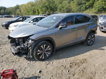  Salvage Lexus NX