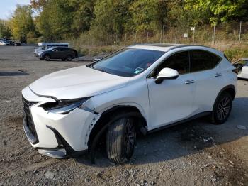  Salvage Lexus NX