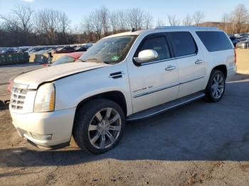  Salvage Cadillac Escalade