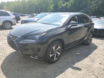  Salvage Lexus NX