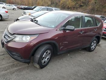  Salvage Honda Crv