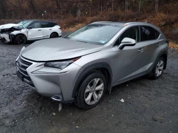  Salvage Lexus NX