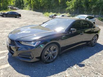  Salvage Acura TLX