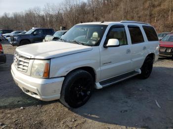  Salvage Cadillac Escalade