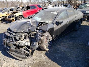  Salvage Acura TLX