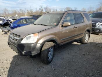  Salvage Honda Crv