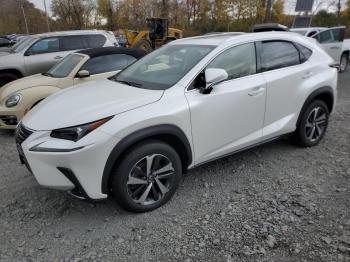  Salvage Lexus NX