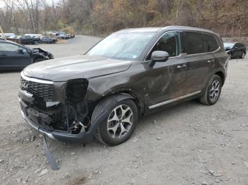  Salvage Kia Telluride