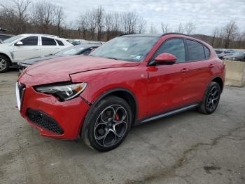  Salvage Alfa Romeo Stelvio