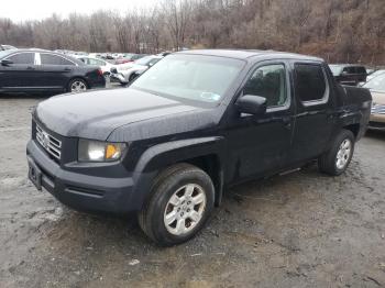  Salvage Honda Ridgeline