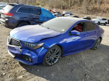  Salvage Acura TLX