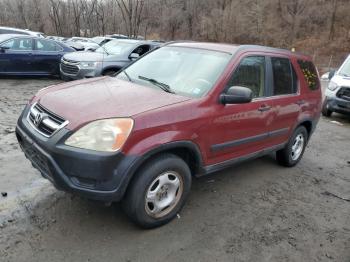  Salvage Honda Crv