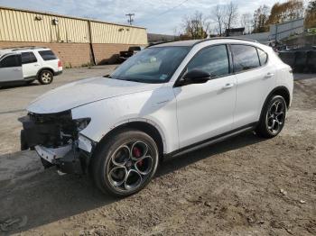  Salvage Alfa Romeo Stelvio