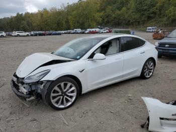  Salvage Tesla Model 3