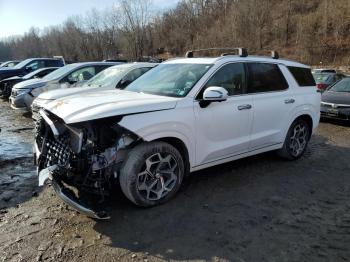  Salvage Hyundai PALISADE