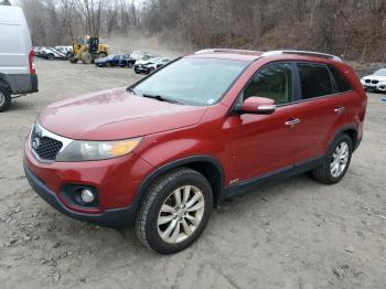  Salvage Kia Sorento