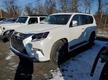  Salvage Lexus Gx