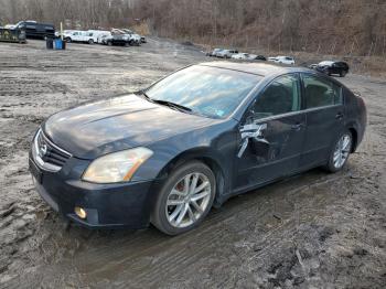  Salvage Nissan Maxima