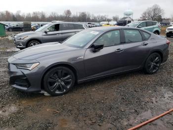  Salvage Acura TLX