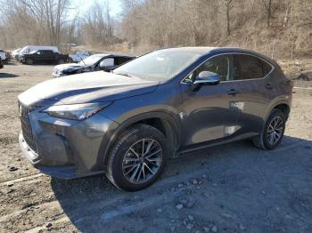  Salvage Lexus NX