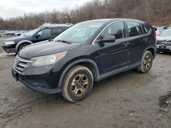  Salvage Honda Crv