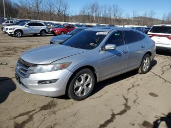  Salvage Honda Crosstour