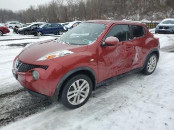  Salvage Nissan JUKE