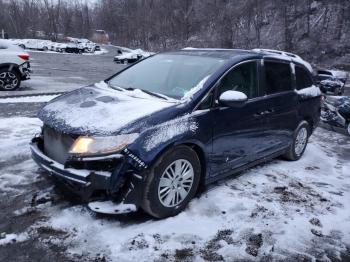  Salvage Honda Odyssey