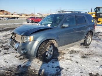  Salvage Ford Escape