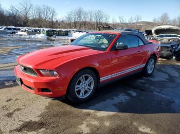  Salvage Ford Mustang