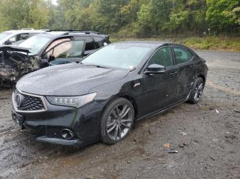  Salvage Acura TLX