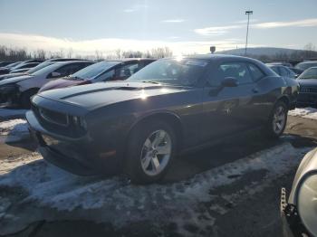  Salvage Dodge Challenger