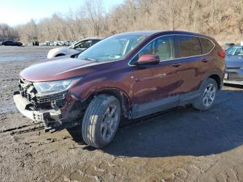  Salvage Honda Crv