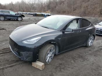  Salvage Tesla Model Y