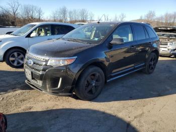  Salvage Ford Edge