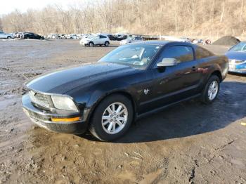  Salvage Ford Mustang