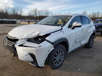  Salvage Lexus NX