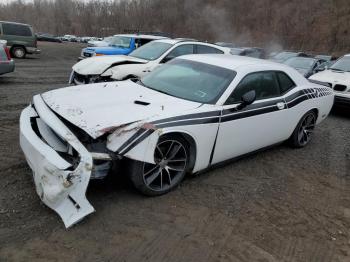  Salvage Dodge Challenger